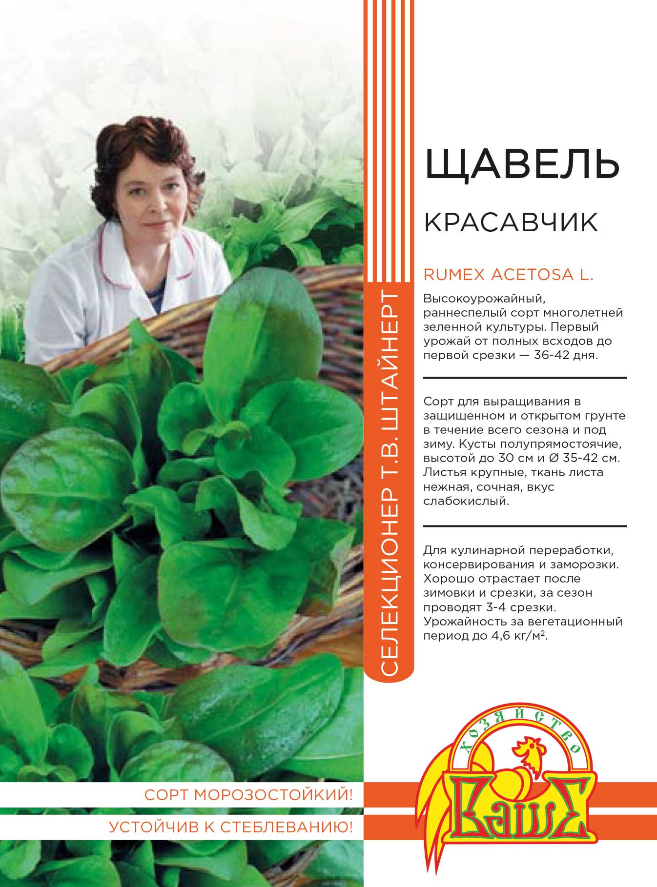 Щавель Красавчик 0