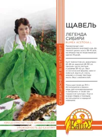 Щавель Легенда Сибири 0