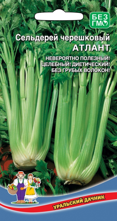 Сельдерей черешковый Атлант (УД) 0