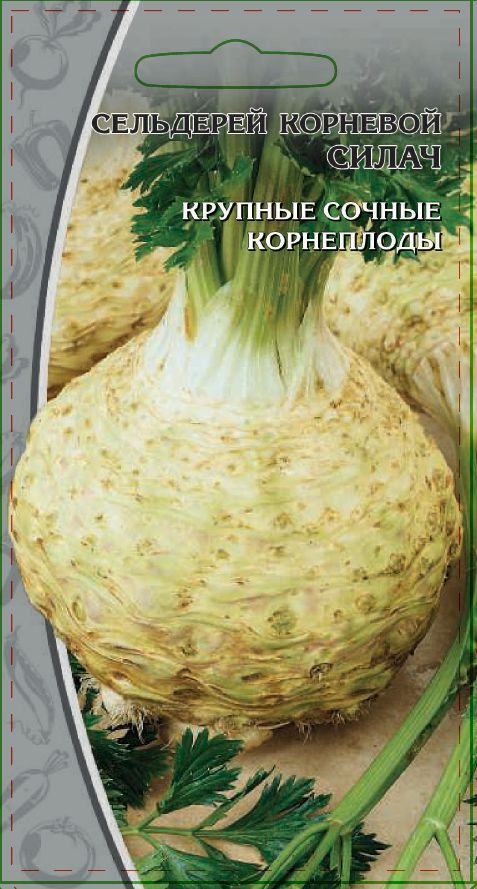 Сельдерей корневой Силач 0