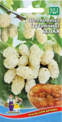Шелковица(тутовник) Белая (УД) 0