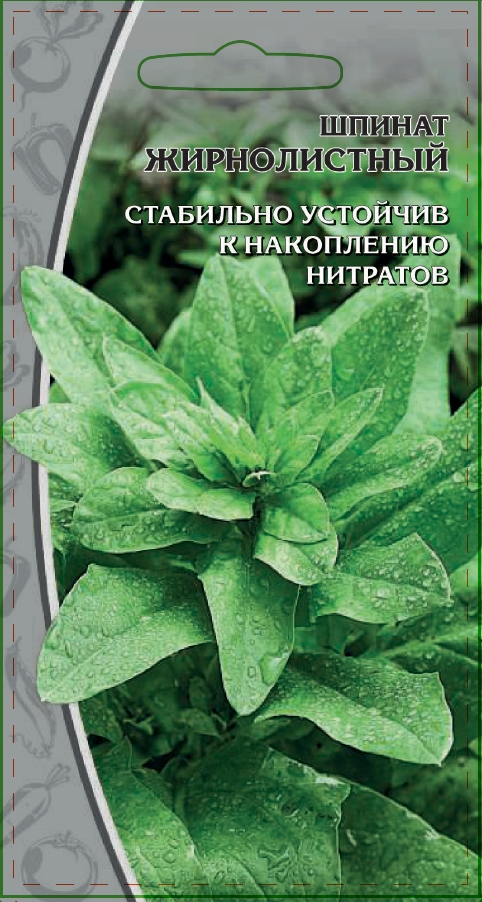 Шпинат Жирнолистный 1 гр цв.п