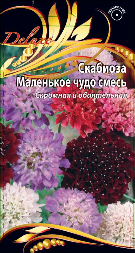 Скабиоза Маленькое чудо смесь 0
