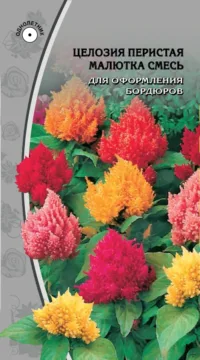 Целозия перистая Малютка смесь 0