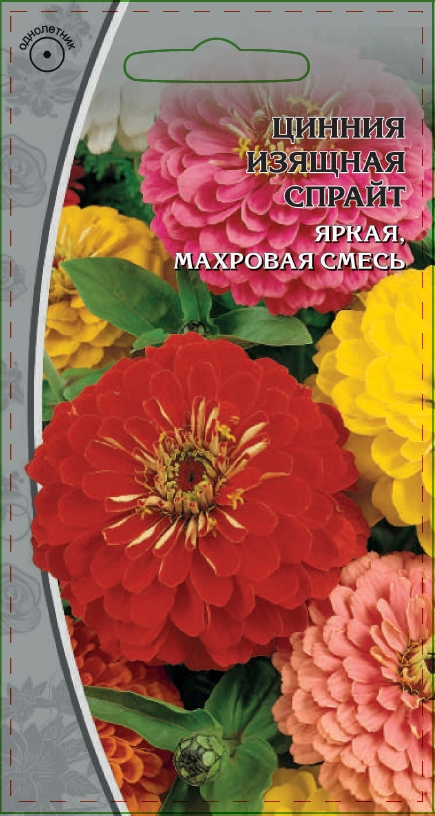 Цинния изящная Спрайт 0