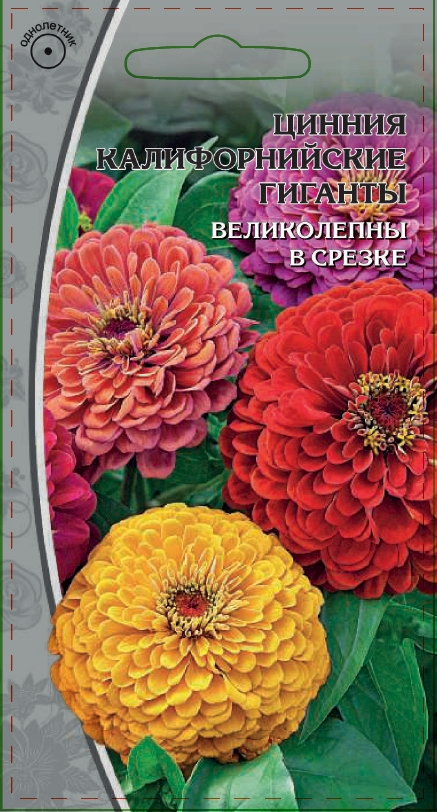 Цинния Калифорнийские гиганты 0