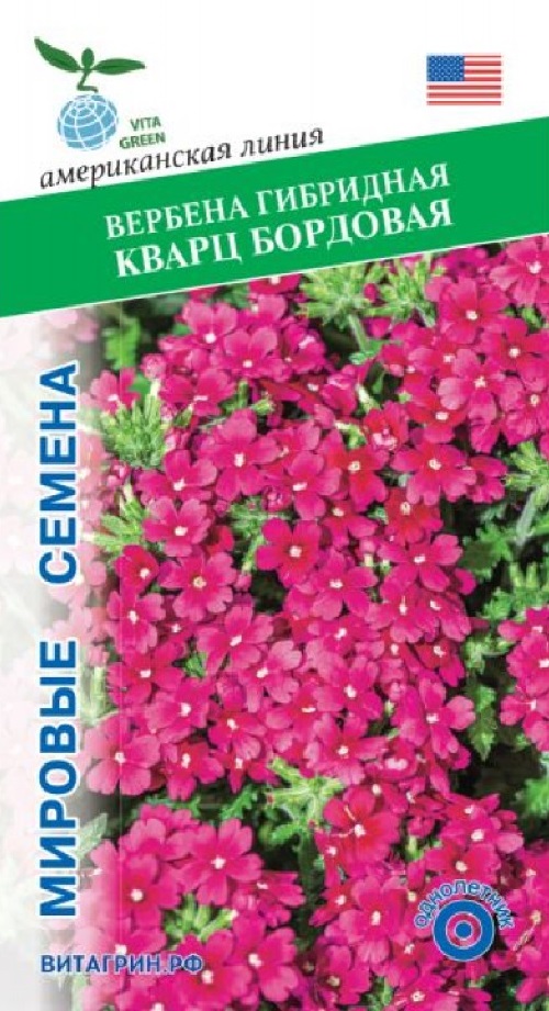 Вербена гибридная Кварц Бордо (PanAmerican Seed) 50 шт