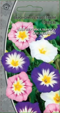 Вьюнок трехцветный смесь 0