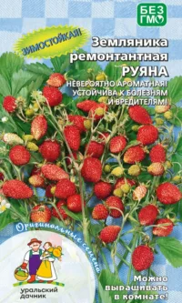 Земляника ремонтантная Руяна (УД) 0