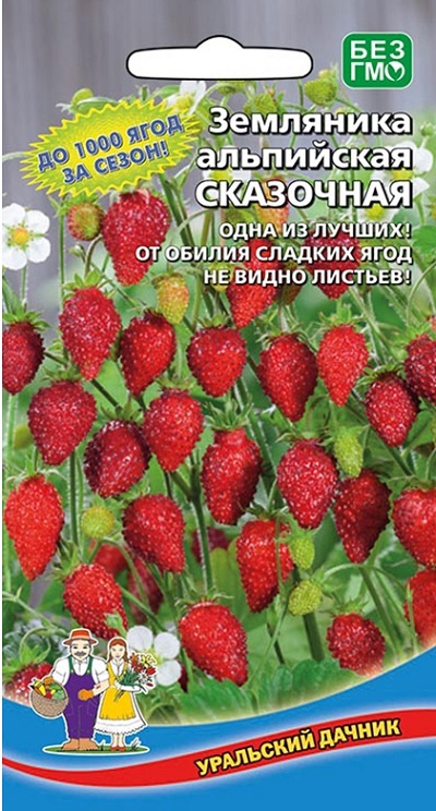 Земляника Сказочная альпийская (УД) 0