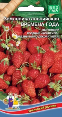 Земляника Времена года (УД) 0